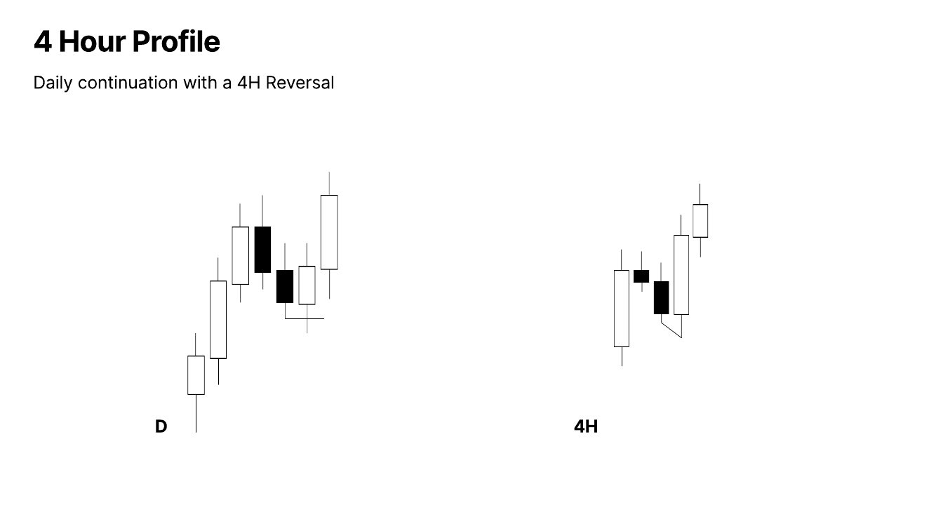 Slide 7: 4 Hour Profile